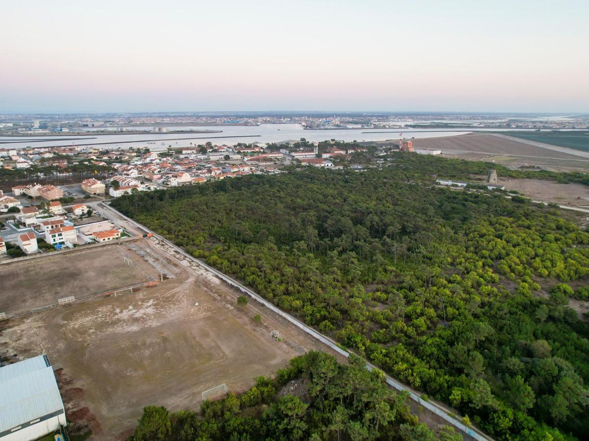 Apartamento Encantador Perto Da Praia, Em Sao Jacinto Daire Aveiro Dış mekan fotoğraf